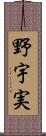 野宇実 Scroll