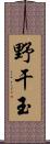 野干玉 Scroll