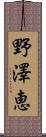 野澤恵 Scroll
