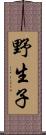 野生子 Scroll