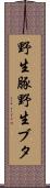 野生豚 Scroll