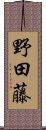 野田藤 Scroll