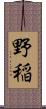 野稲 Scroll