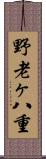 野老ヶ八重 Scroll