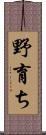 野育ち Scroll