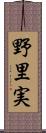 野里実 Scroll