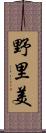 野里美 Scroll