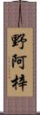 野阿梓 Scroll