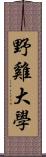 野雞大學 Scroll