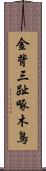 金背三趾啄木鳥 Scroll