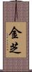 金芝 Scroll