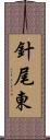 針尾東 Scroll