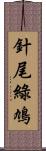 針尾綠鳩 Scroll