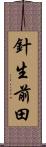針生前田 Scroll