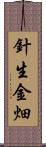 針生金畑 Scroll