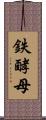 鉄酵母 Scroll