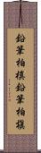 鉛筆柏槙 Scroll