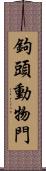 鉤頭動物門 Scroll