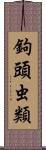 鉤頭虫類 Scroll