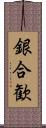 銀合歓 Scroll