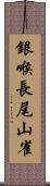 銀喉長尾山雀 Scroll