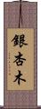 銀杏木 Scroll