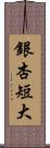 銀杏短大 Scroll