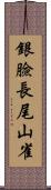 銀臉長尾山雀 Scroll