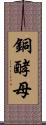 銅酵母 Scroll