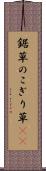 鋸草 Scroll
