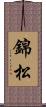 錦松 Scroll