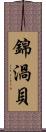 錦渦貝 Scroll