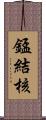 錳結核 Scroll