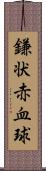 鎌状赤血球 Scroll