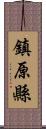 鎮原縣 Scroll