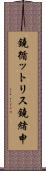 鐃循ットリス鐃緒申 Scroll