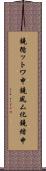 鐃循ットワ申鐃夙ム化鐃緒申 Scroll