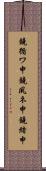 鐃循ワ申鐃夙ネ￥申鐃緒申 Scroll