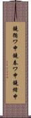 鐃循ワ申鐃春ワ申鐃緒申 Scroll