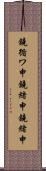 鐃循ワ申鐃緒申鐃緒申 Scroll