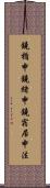 鐃楯￥申鐃緒申鐃宿居申法 Scroll