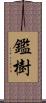 鑑樹 Scroll