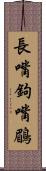 長嘴鉤嘴鶥 Scroll