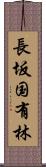 長坂国有林 Scroll