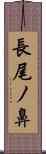 長尾ノ鼻 Scroll