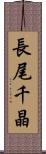 長尾千晶 Scroll
