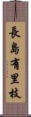 長島有里枝 Scroll