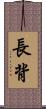 長背 Scroll