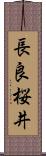 長良桜井 Scroll