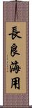 長良海用 Scroll